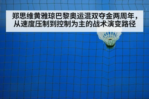 badminton net shot